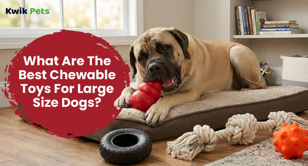 What Are The Best Chewable Toys For  Large Size Dogs?