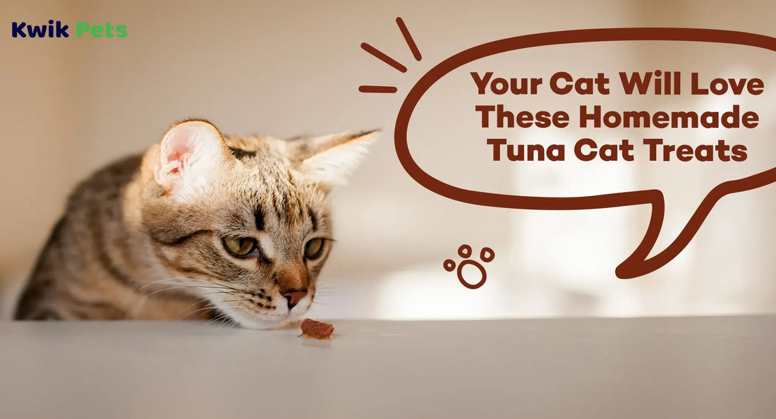 Your Cat Will Love These Homemade Tuna Cat Treats