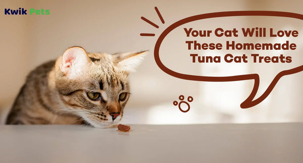 Your Cat Will Love These Homemade Tuna Cat Treats