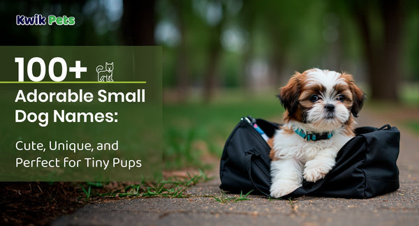 100+ Adorable Small Dog Names: Cute, Unique, and Perfect for Tiny Pups
