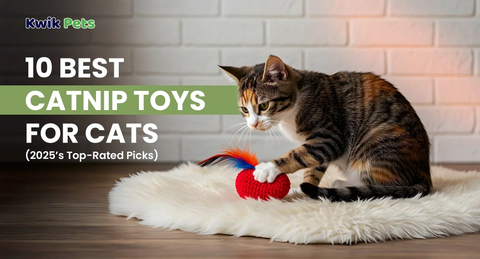 10 Best Catnip Toys for Cats (2025’s Top-Rated Picks)