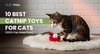 10 Best Catnip Toys for Cats (2025’s Top-Rated Picks)