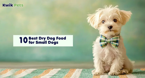 10 Best Dry Dog Food for Small Dogs