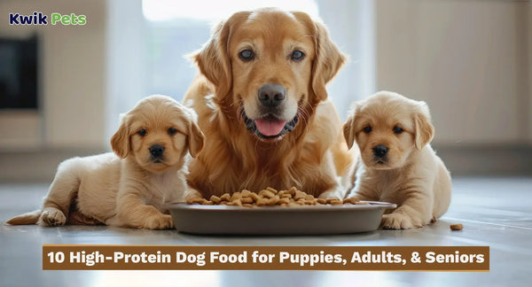 10 High Protein Dog Food for Puppies, Adults & Seniors