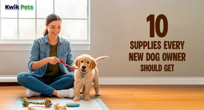 10 Supplies Every New Dog Owner Should Get, Don’t Miss #3