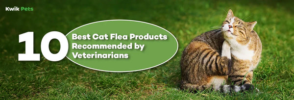 10 Best Cat Flea Products Recommended by Veterinarians in 2026