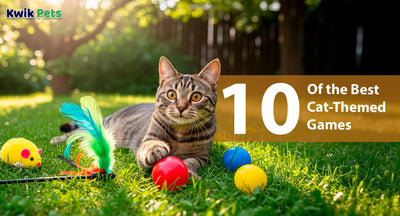 10 of the Best Cat-Themed Games