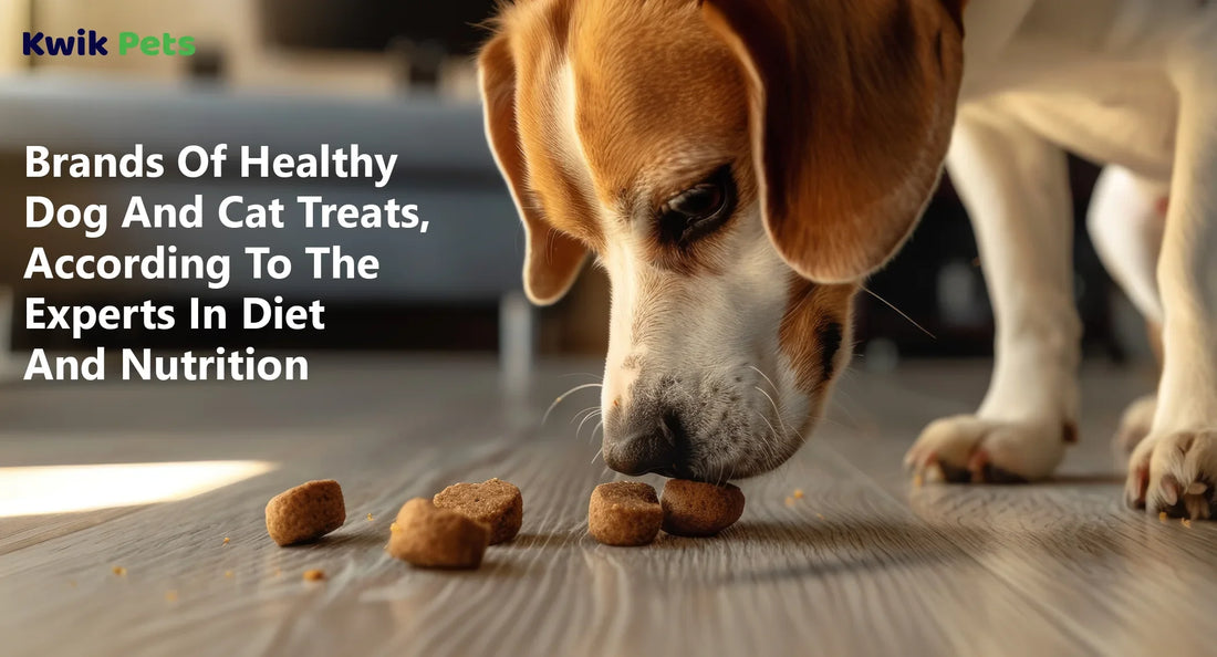 Brands Of Healthy Dog And Cat Treats, According To The Experts In Diet And Nutrition