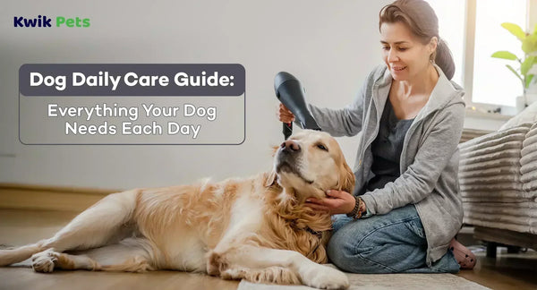 Dog Daily Care Guide: Everything Your Dog Needs Each Day