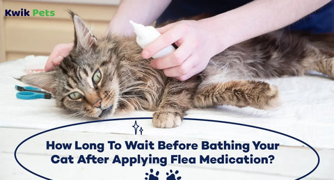 How Long To Wait Before Bathing Your Cat After Applying Flea Medication?