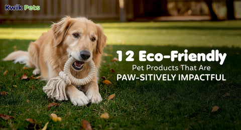 12 Eco-Friendly Pet Products That Are Paw-Sitively Impactful