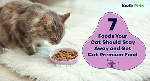 7 Foods Your Cat Should Stay Away and Get Cat Premium Food