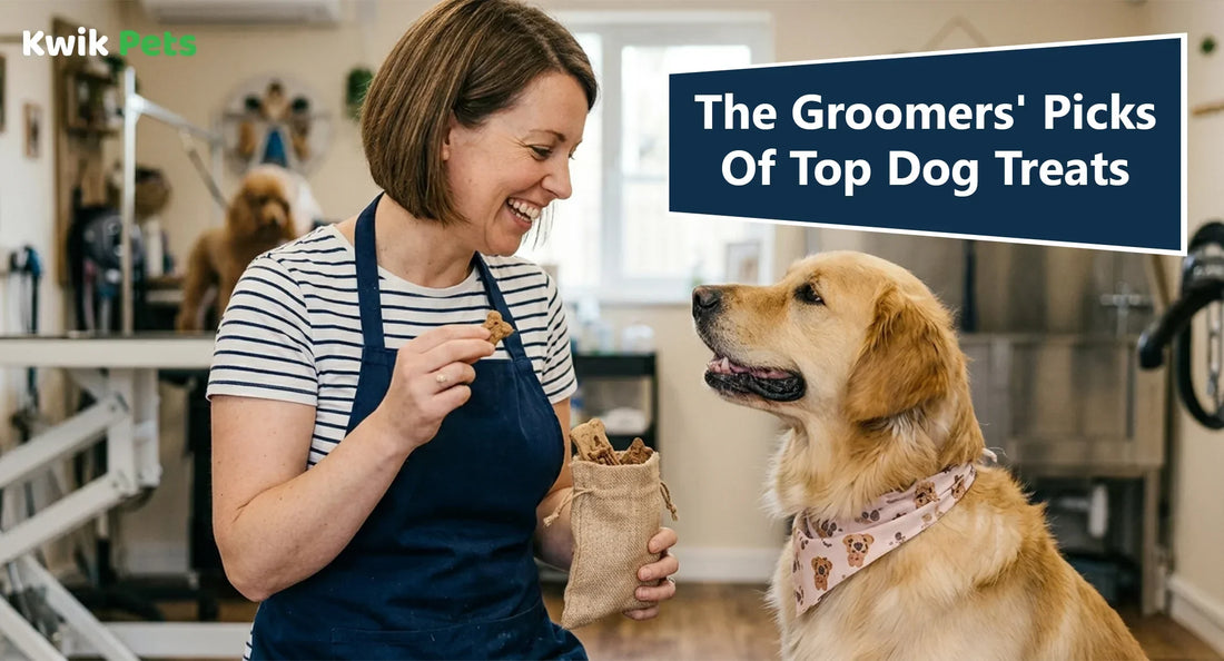 The Groomers' Picks Of Top Dog Treats