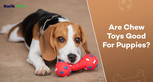 Are Chew Toys Good For Puppies?