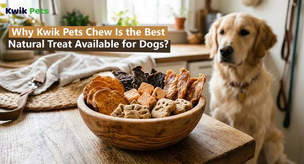 Why Kwik Pets Chew Is the Best Natural Treat Available for Dogs