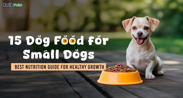 15 Dog Food for Small Dogs: Best Nutrition Guide for Healthy Growth