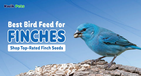 Best Bird Feed for Finches: Shop Top-Rated Finch Seeds
