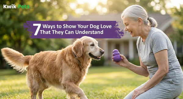  7 Ways to Show Your Dog Love That They Can Understand
