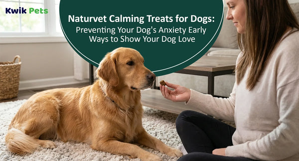 Naturvet Calming Treats for Dogs Preventing Your Dog's Anxiety Early