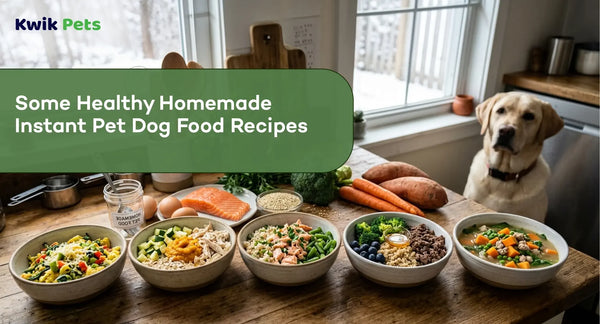 Some Healthy Homemade Instant Pet Dog Food Recipes