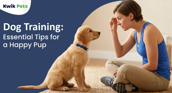 Dog Training Essential Tips for a Happy Pup
