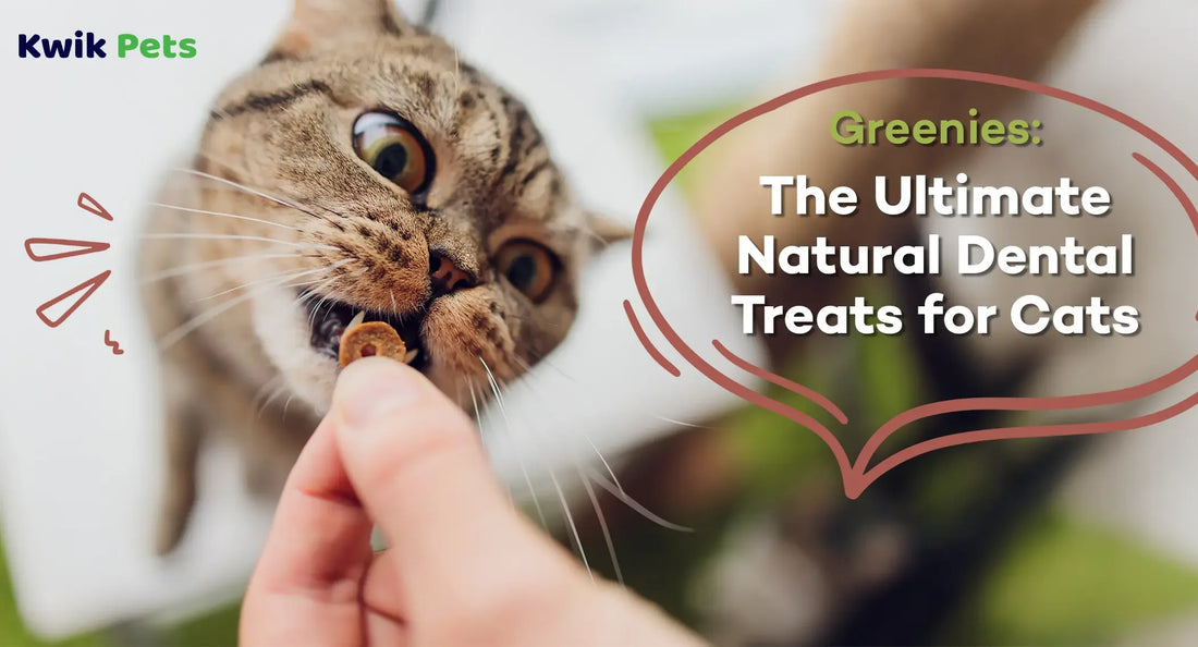 Greenies The Ultimate Natural Dental Treats for Cats