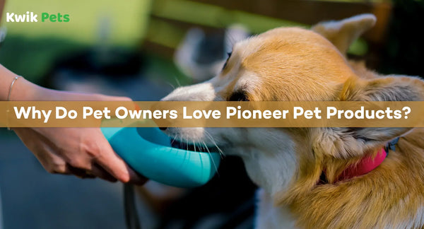 Why Do Pet Owners Love Pioneer Pet Products?