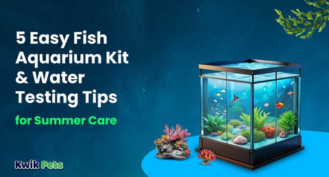 5 Easy Fish Aquarium Kit & Water Testing Tips for Summer Care
