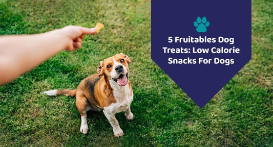 5 Fruitables Dog Treats: Low Calorie Snacks For Dogs - Kwik Pets