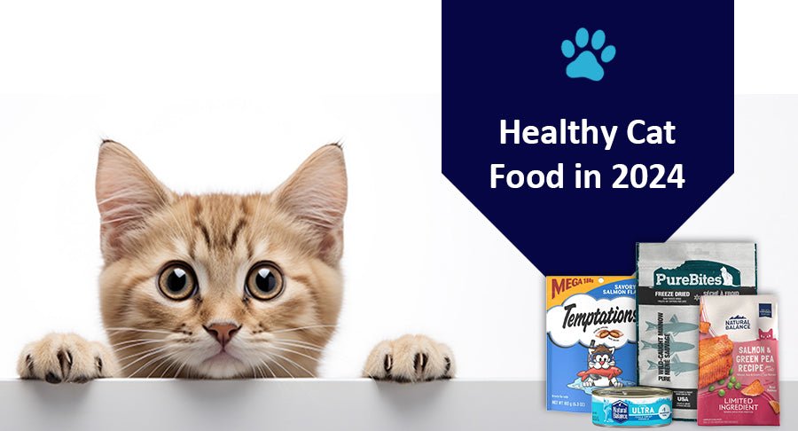 5 Healthy Cat Food in 2024 - Kwik Pets