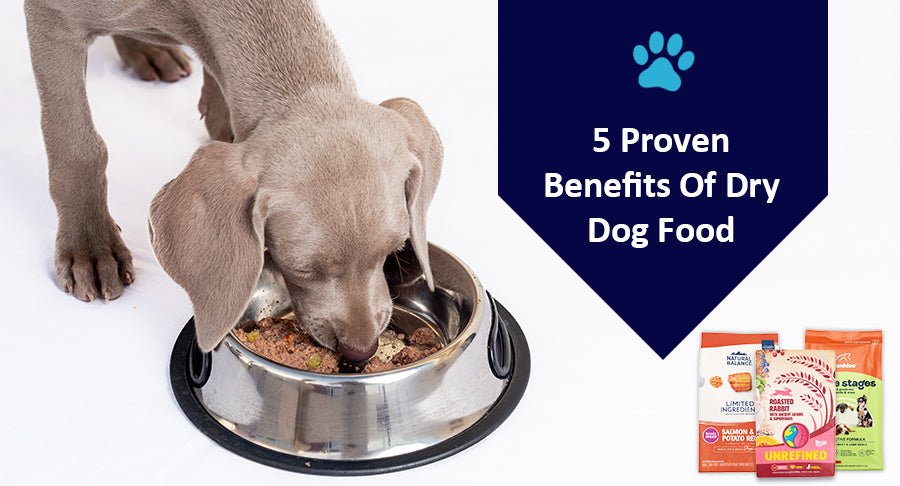 5 Proven Benefits Of Dry Dog Food - Kwik Pets