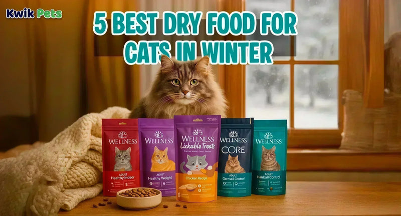 Best Dry Food for Cats in Winter: Keep Your Kitty Warm, Happy & Healthy!