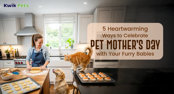 5 Heartwarming Ways to Celebrate Pet Mother’s Day with Your Furry Babies