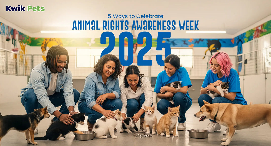 5 Ways to Celebrate Animal Rights Awareness Week 2025