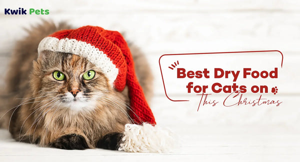 Best Dry Food for Cats on This Christmas