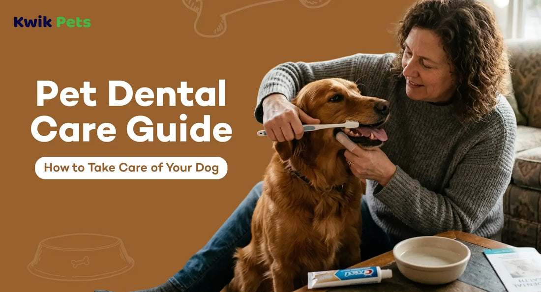 Pet Dental Care Guide - How to Take Care of Your Dog