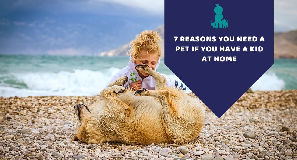 7 Reasons You Need A Pet If You Have A Kid At Home