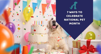 7 ways to celebrate National Pet Month