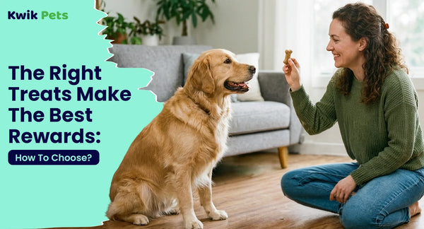  The Right Treats Make The Best Rewards