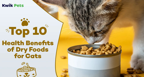 Top 10 Health Benefits of Dry Foods for Cats