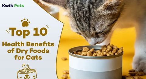 Top 10 Health Benefits of Dry Foods for Cats