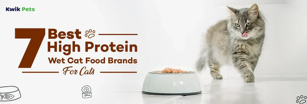 High Protein Wet Cat Food