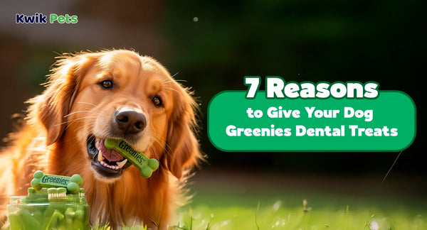 7 Reasons to Give Your Dog Greenies Dental Treats