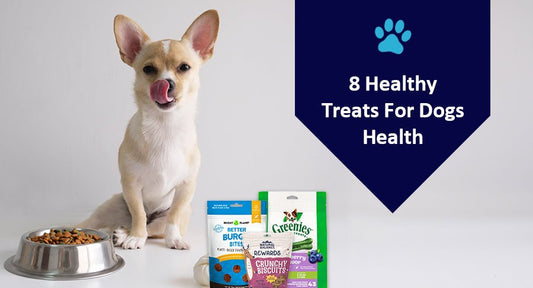 8 Healthy Treats For Dogs Health - Kwik Pets