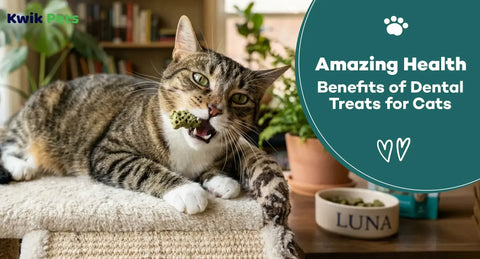 Amazing Health Benefits of Dental Treats for Cats