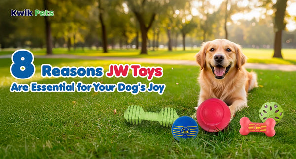 8 Reasons JW Toys Are Essential for Your Dog's Joy