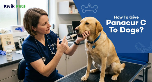 How To Give Panacur C To Dogs?