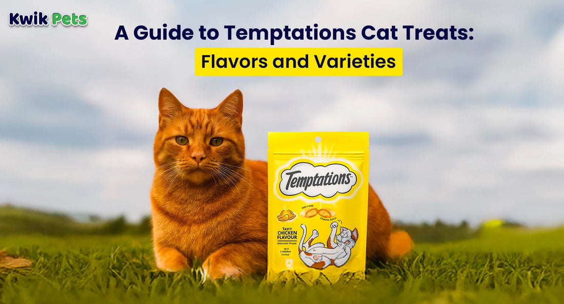 A Guide to Temptations Cat Treats Flavors and Varieties