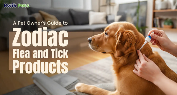 A Pet Owner's Guide to Zodiac Flea and Tick Products