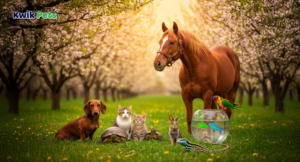 Festivals To Celebrate This Spring With Your Friends, Family, And Pets